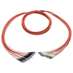 [TCM-BLCFC24M1-30] Tconnect Breakout 24 Fiber LC-FC Multimode 62.5/125µm (OM1) 30m